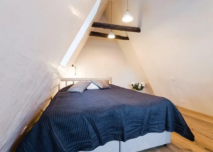 Niguliste 6 Old Town Penthouse * タリン