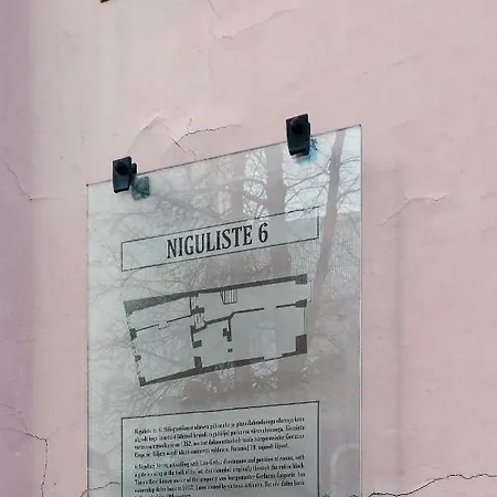 Niguliste 6 Old Town Penthouse * טאלין