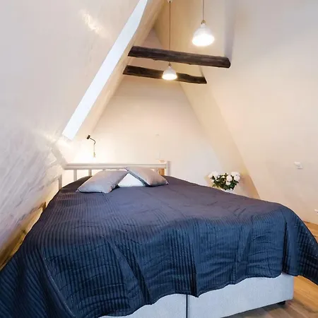 Niguliste 6 Old Town Penthouse * טאלין